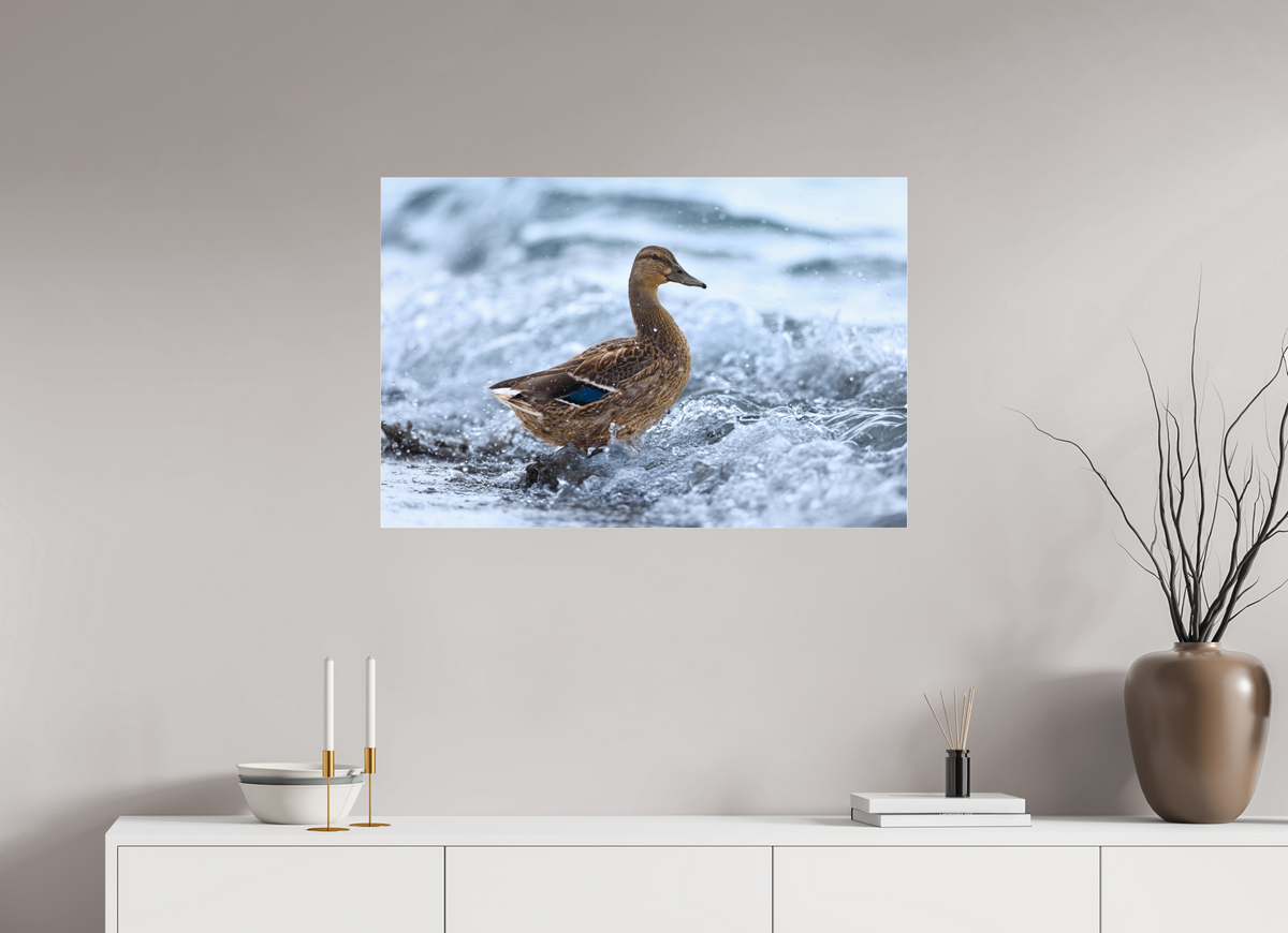 90 x 60 cm, Photo Print Under Acrylic Glass Riding the wave