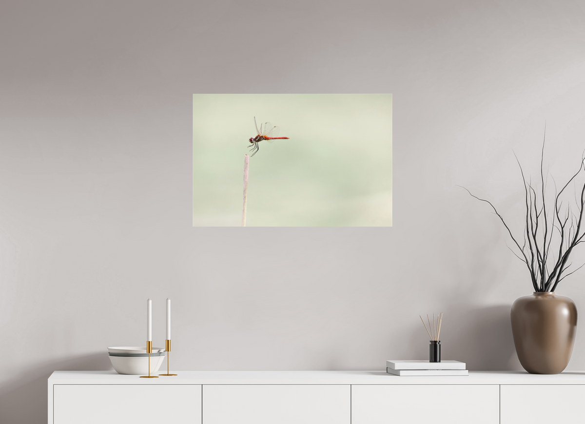 75 x 50 cm, Photo Print Under Acrylic Glass A Moment Suspended