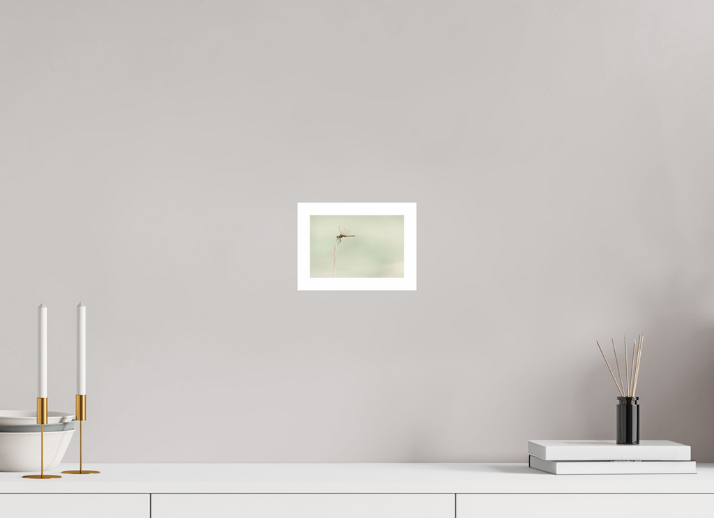 15 x 10 cm, Print A Moment Suspended