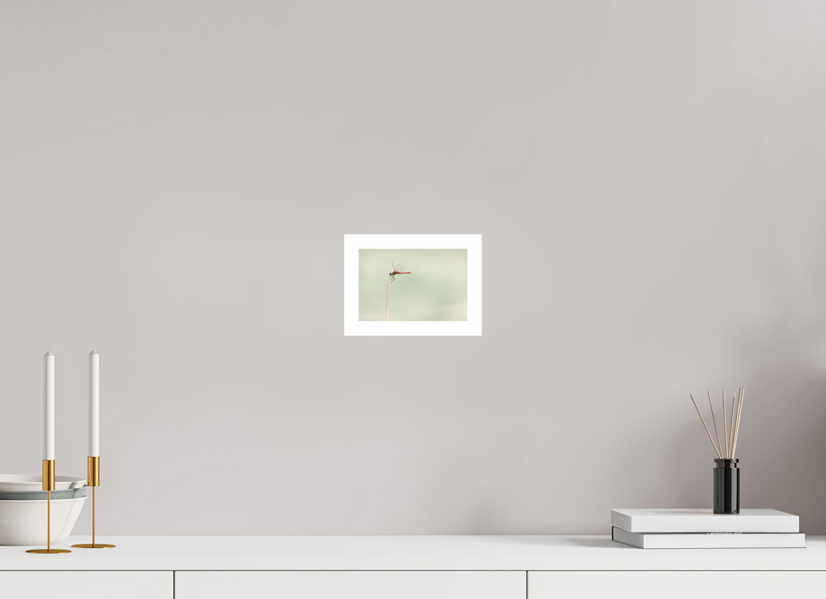 15 x 10 cm, Print A Moment Suspended