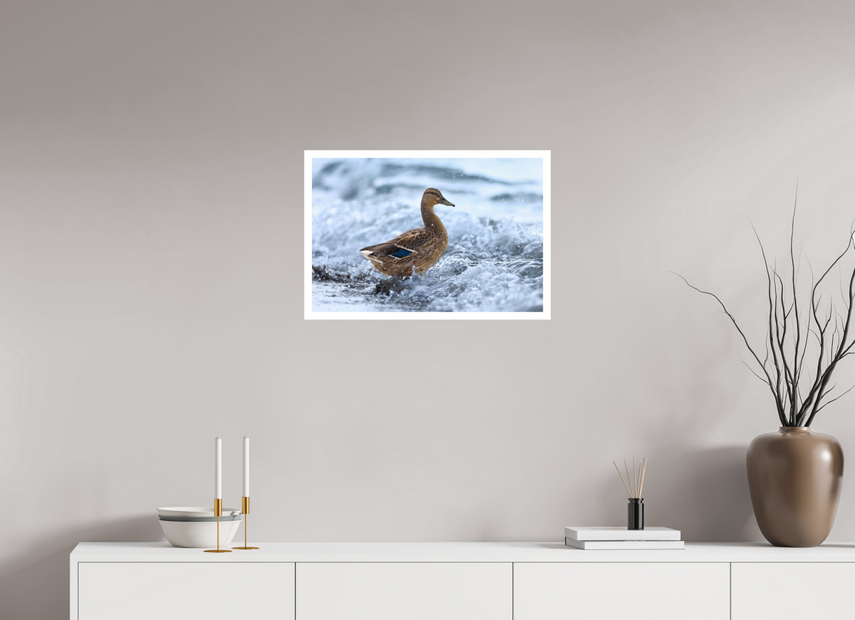 60 x 40 cm, Print Riding the wave