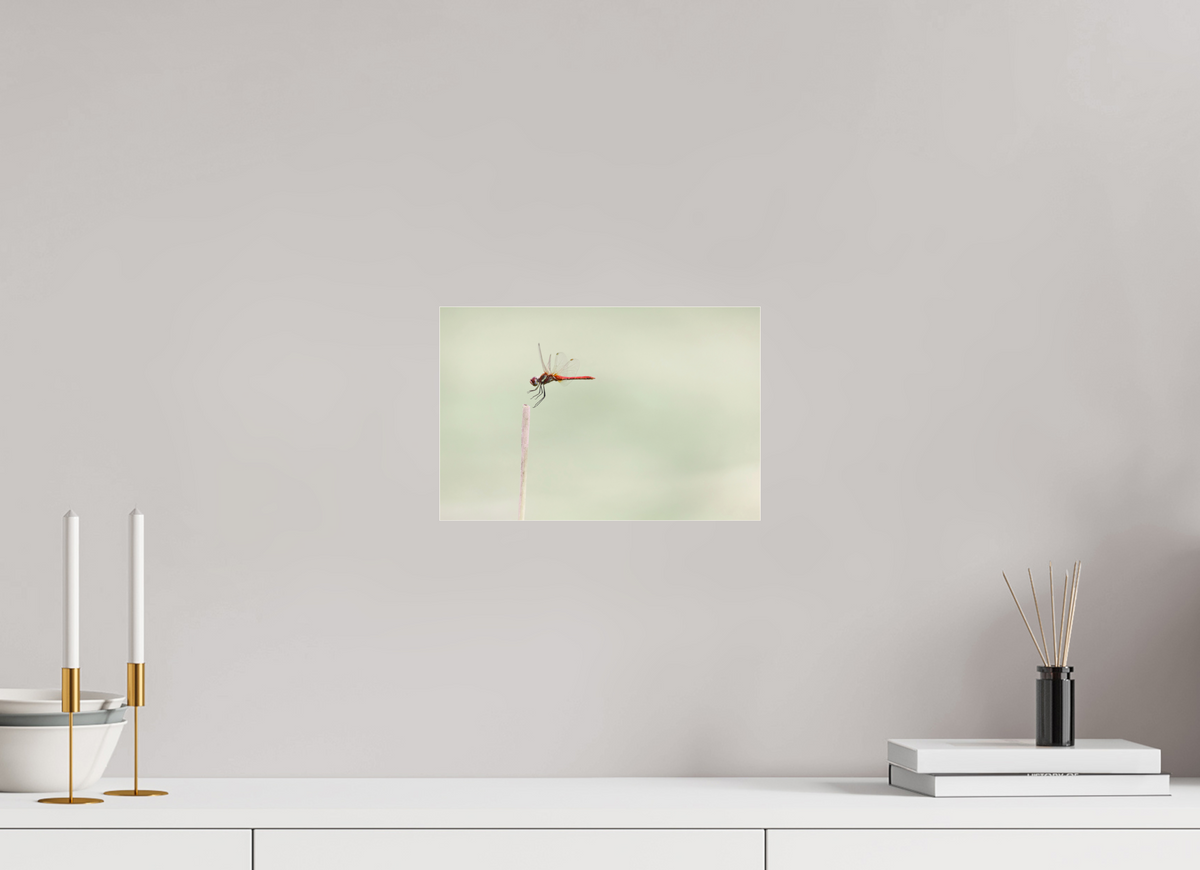 30 x 20 cm, Photo Print Under Acrylic Glass A Moment Suspended