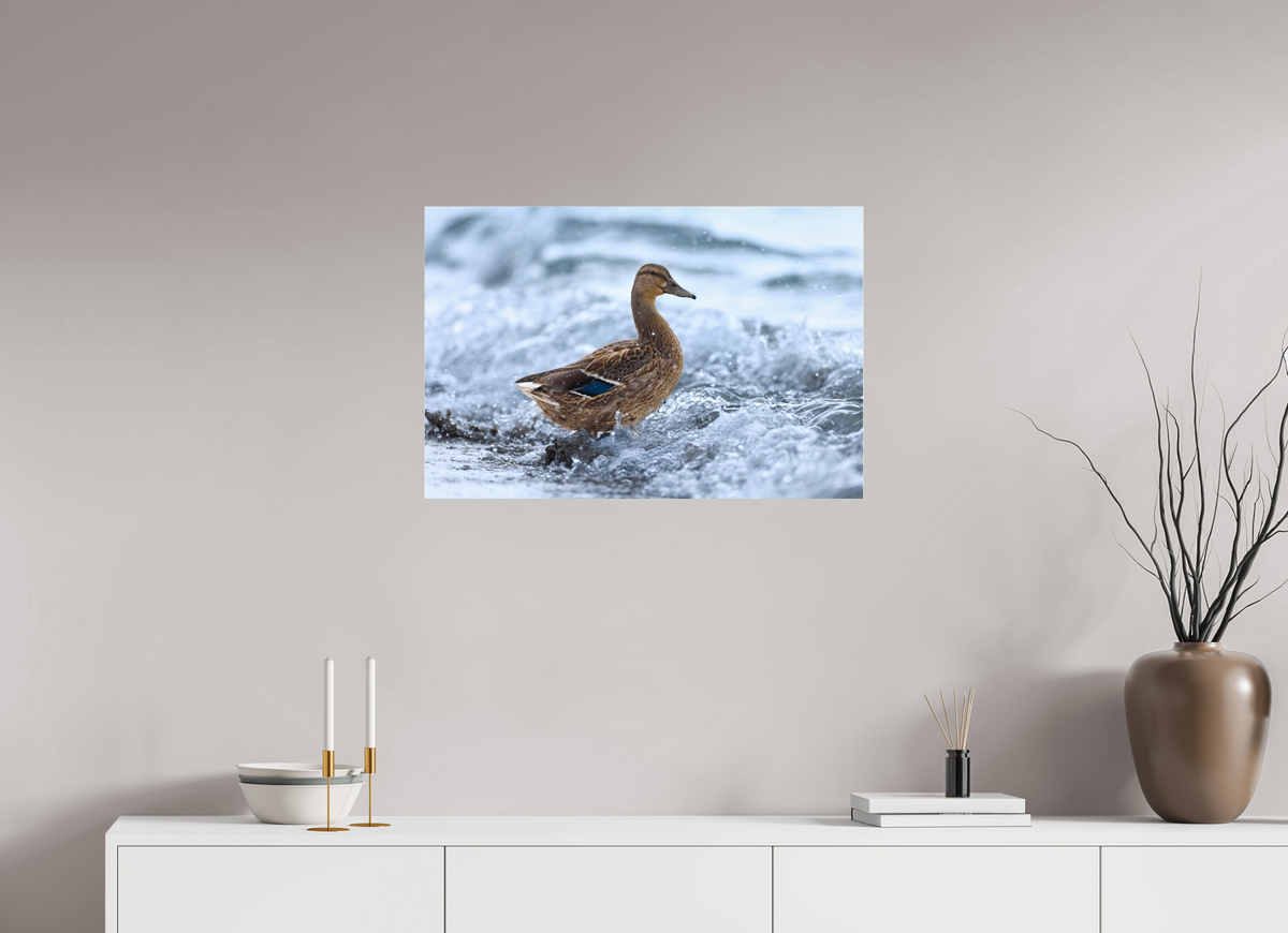 75 x 50 cm, Photo Print Under Acrylic Glass Riding the wave