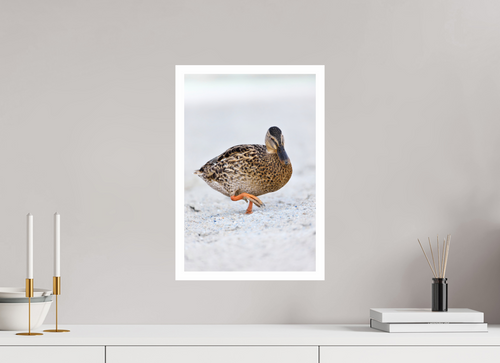 30 x 45 cm, Print The Quiet Stride