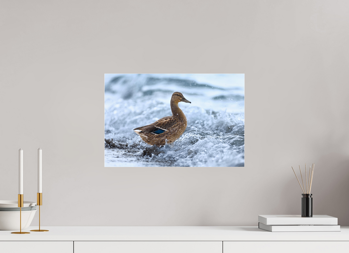 45 x 30 cm, Photo Print Under Acrylic Glass Riding the wave