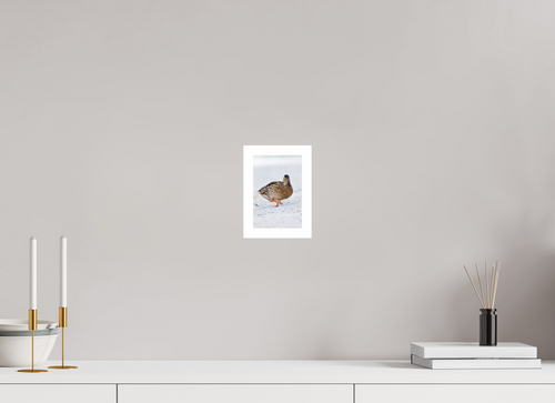 10 x 15 cm, Print The Quiet Stride