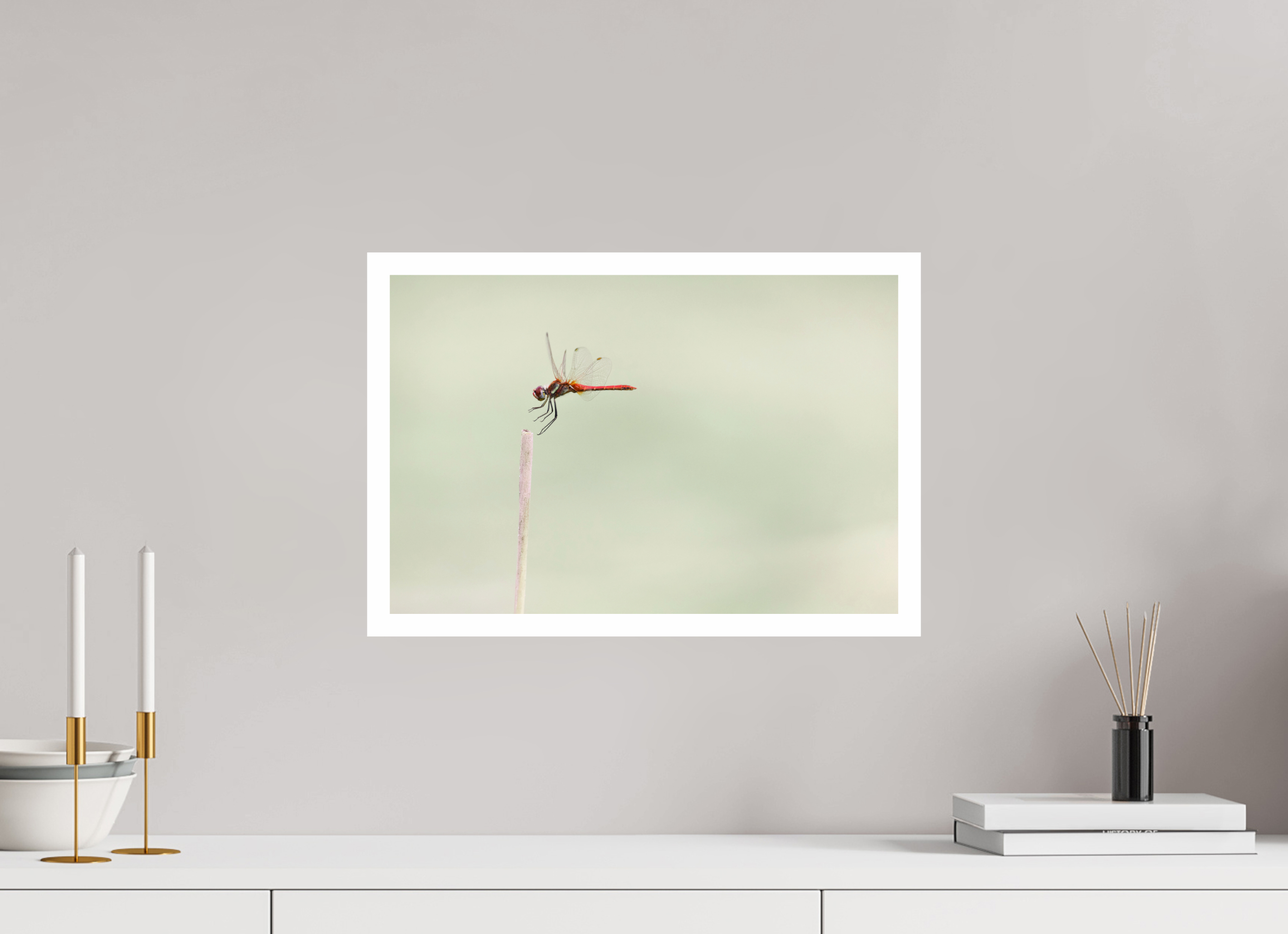 45 x 30 cm, Print A Moment Suspended