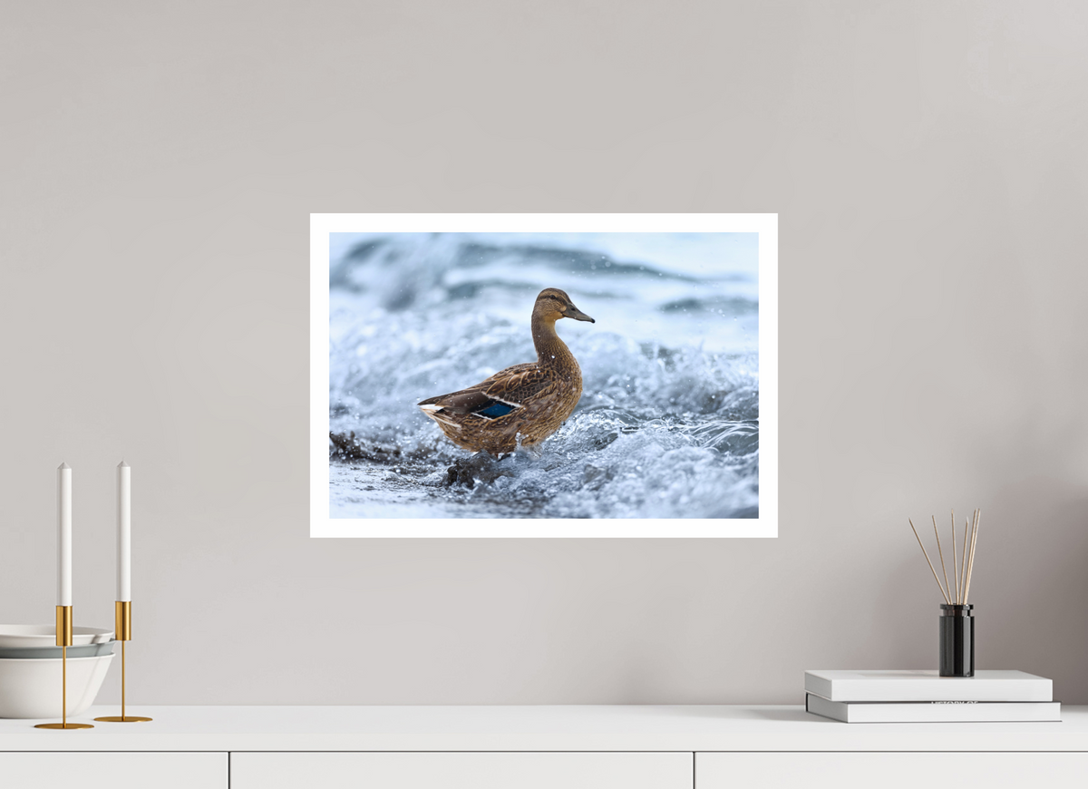 45 x 30 cm, Print Riding the wave