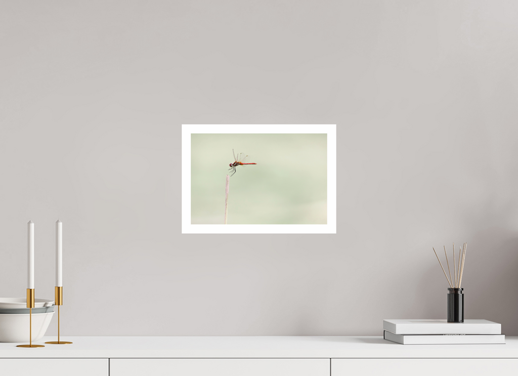 30 x 20 cm, Print A Moment Suspended