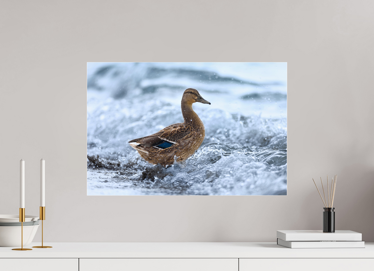 60 x 40 cm, Photo Print Under Acrylic Glass Riding the wave