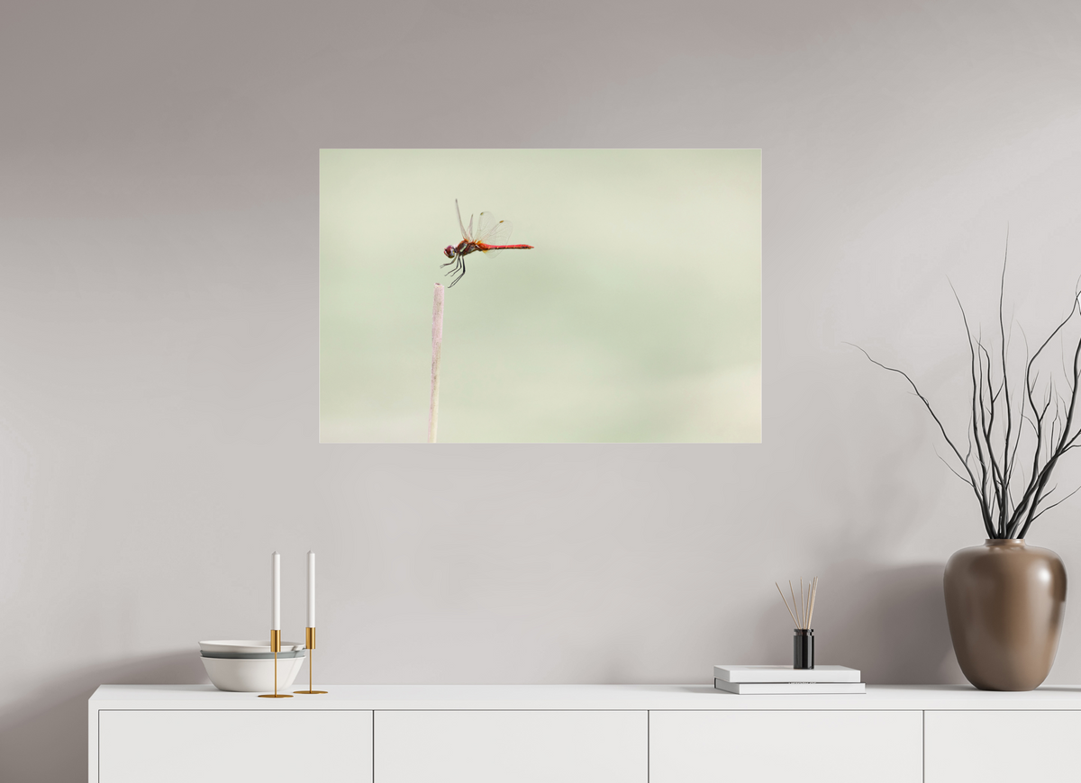 90 x 60 cm, Photo Print Under Acrylic Glass A Moment Suspended