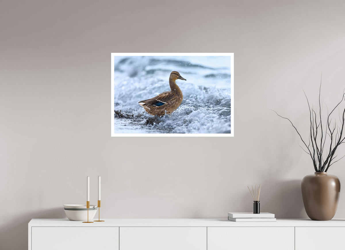 75 x 50 cm, Print Riding the wave