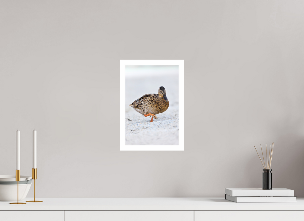 20 x 30 cm, Print The Quiet Stride