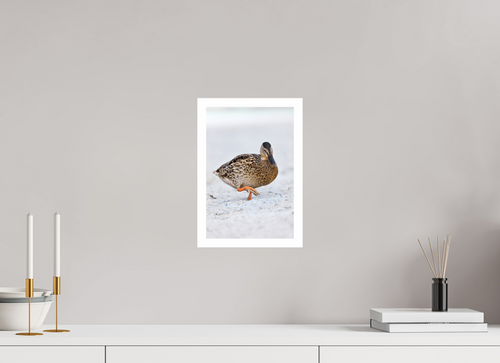 20 x 30 cm, Print The Quiet Stride