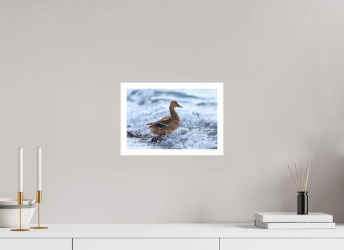 30 x 20 cm, Print Riding the wave
