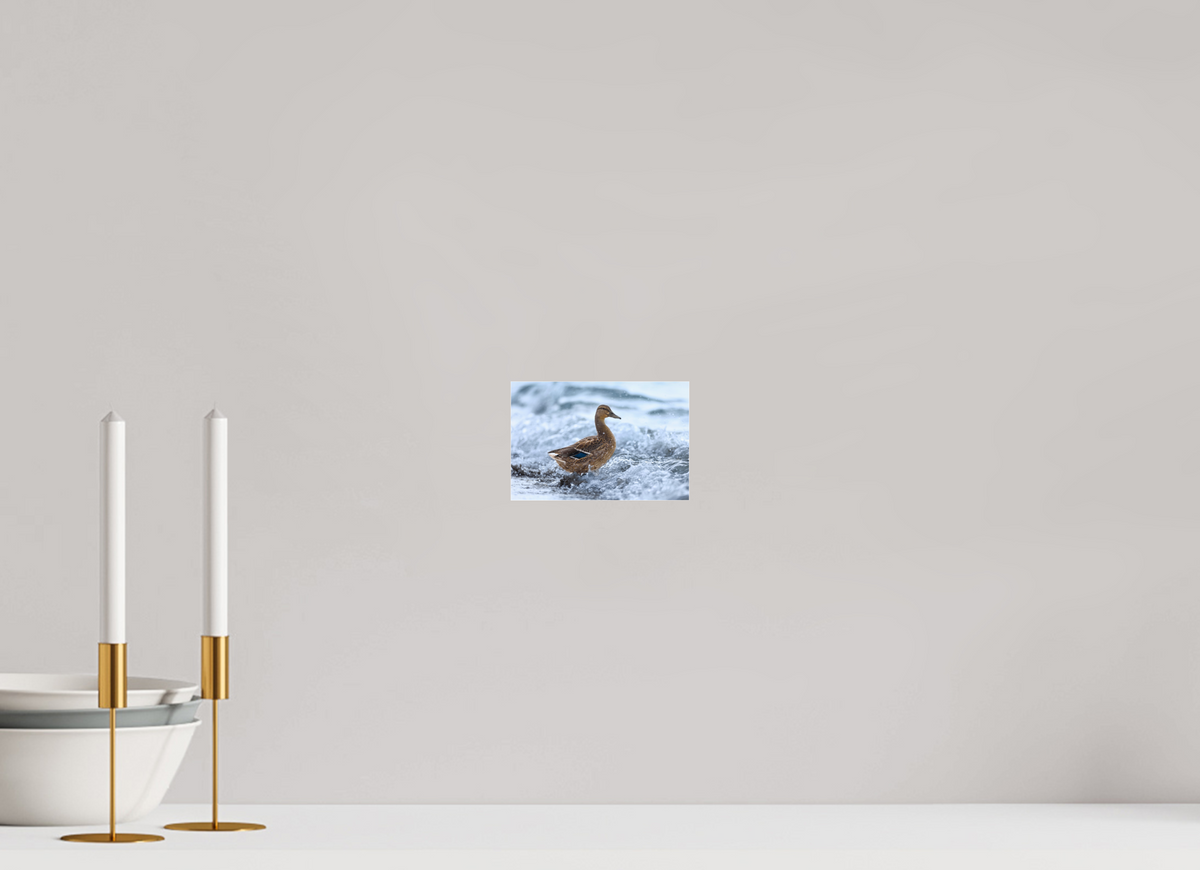 15 x 10 cm, Photo Print Under Acrylic Glass Riding the wave